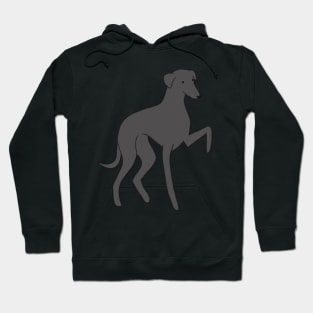 italian greyhound Hoodie